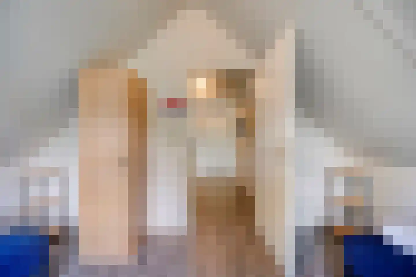 Binnenweg 12 68 Paasloo thumbnail 21