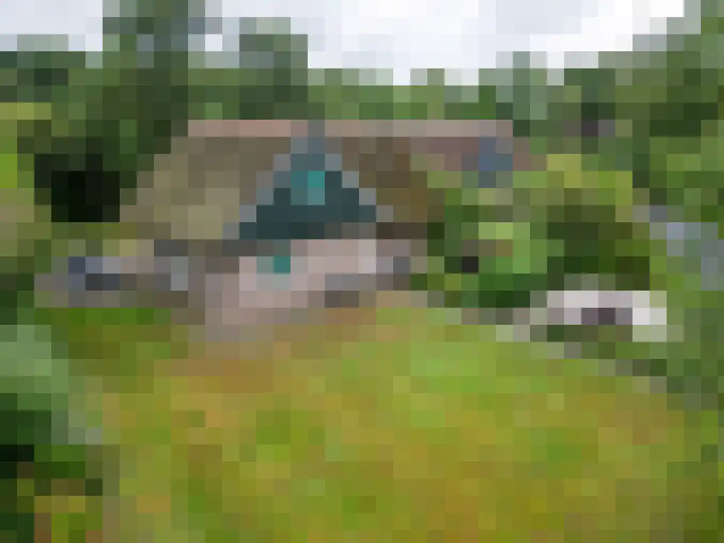 Binnenweg 12 68 Paasloo thumbnail 34