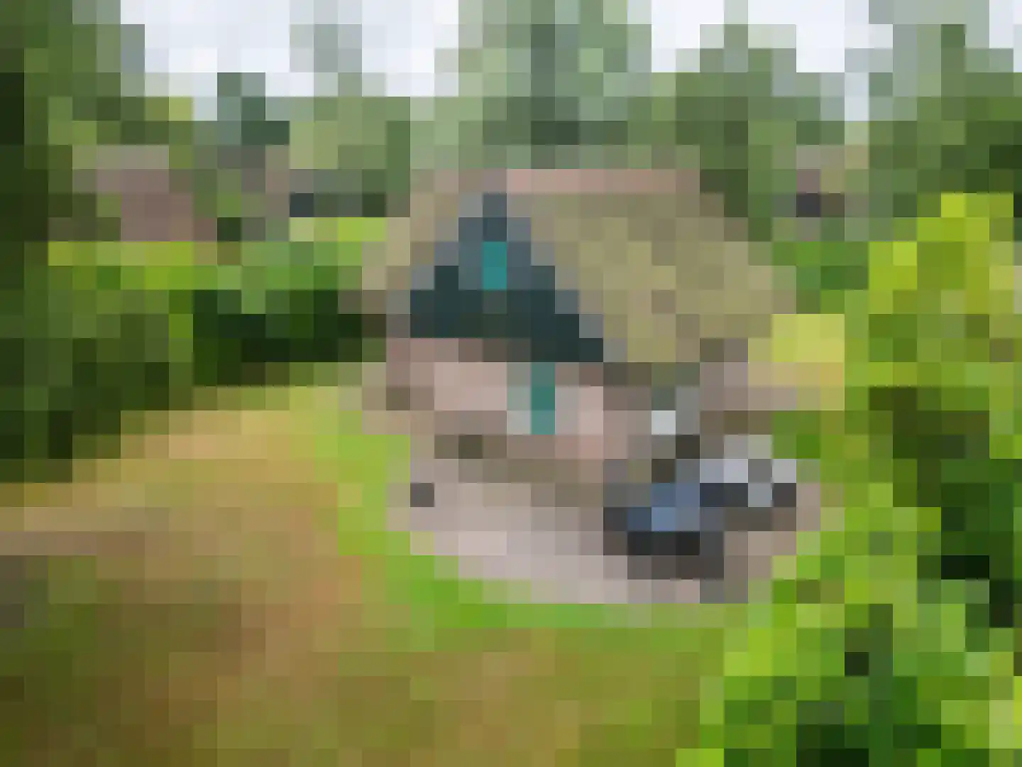 Binnenweg 12 68 Paasloo thumbnail 35