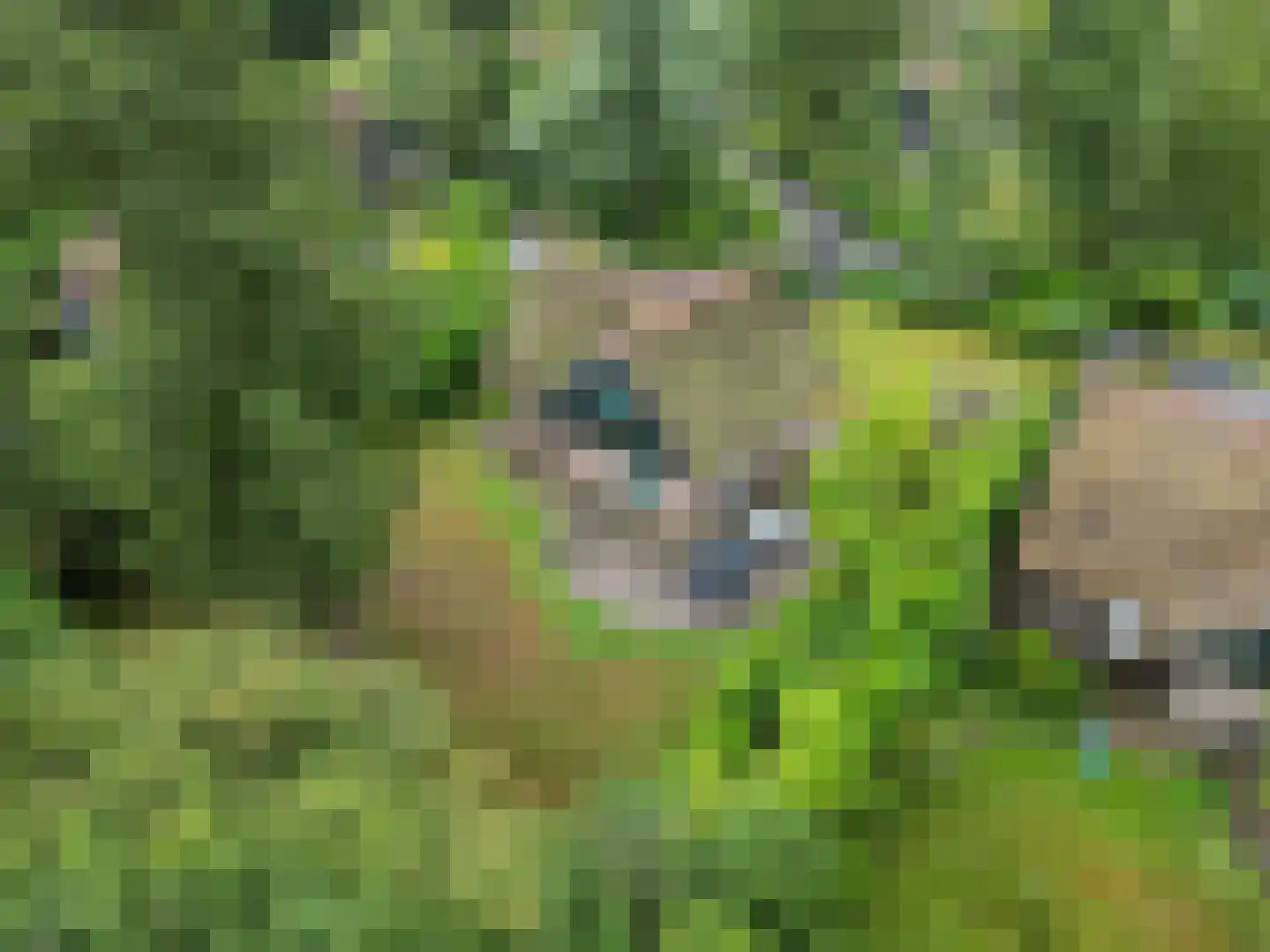 Binnenweg 12 68 Paasloo thumbnail 36