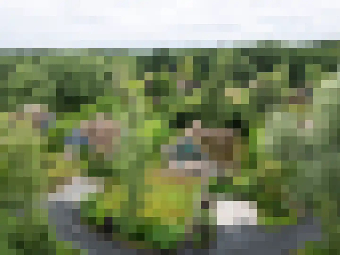 Binnenweg 12 68 Paasloo thumbnail 38