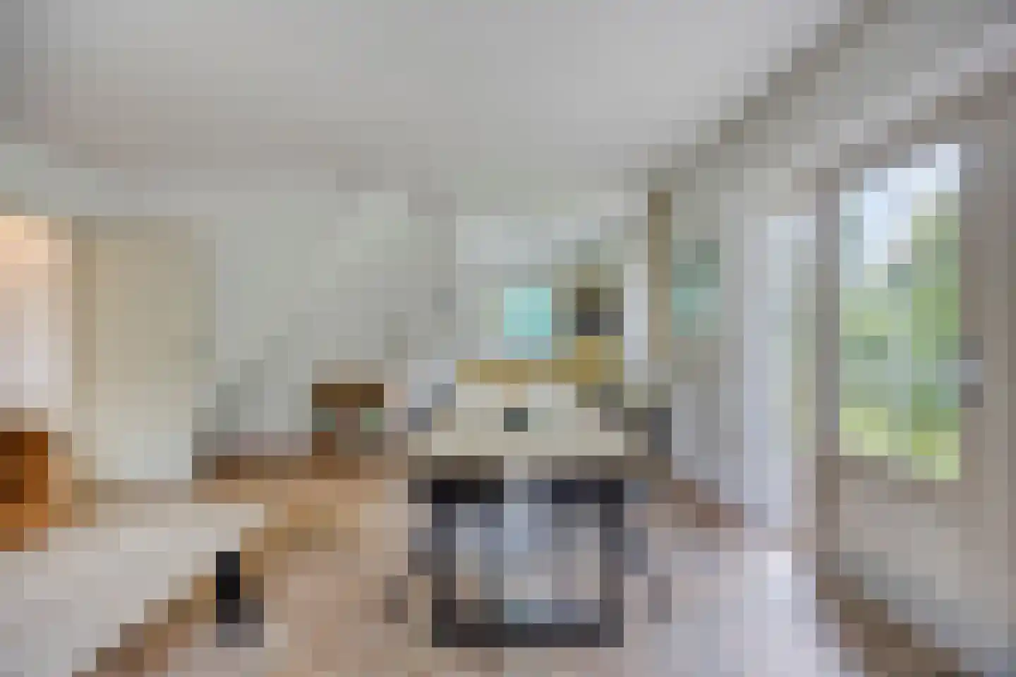 Binnenweg 12 68 Paasloo thumbnail 4