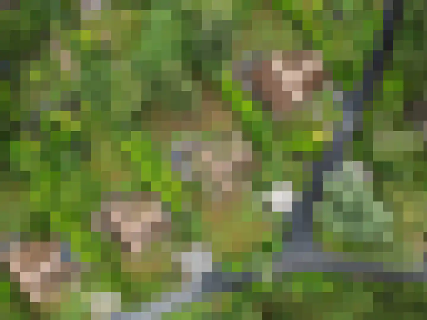 Binnenweg 12 68 Paasloo thumbnail 40