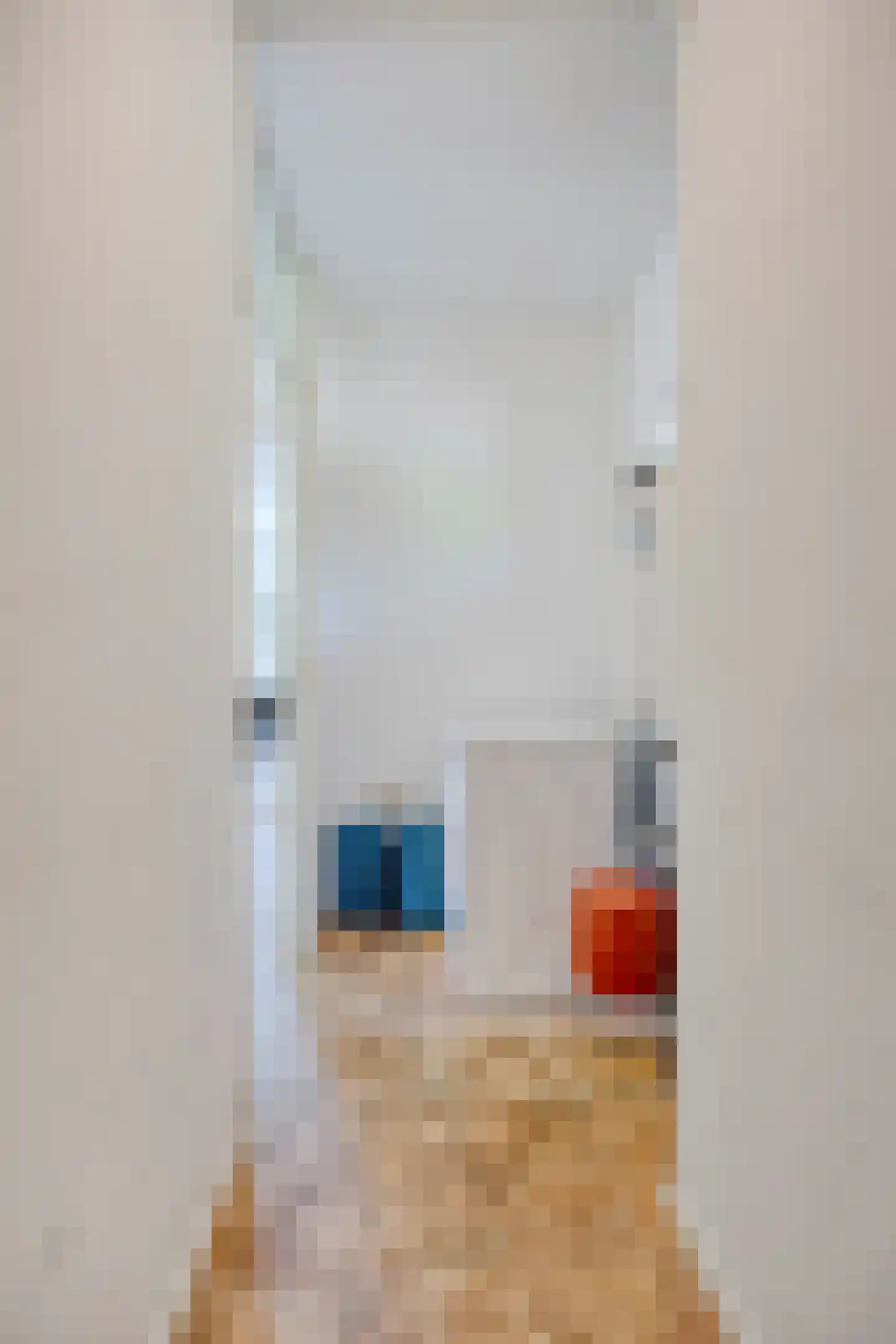 Binnenweg 12 68 Paasloo thumbnail 8