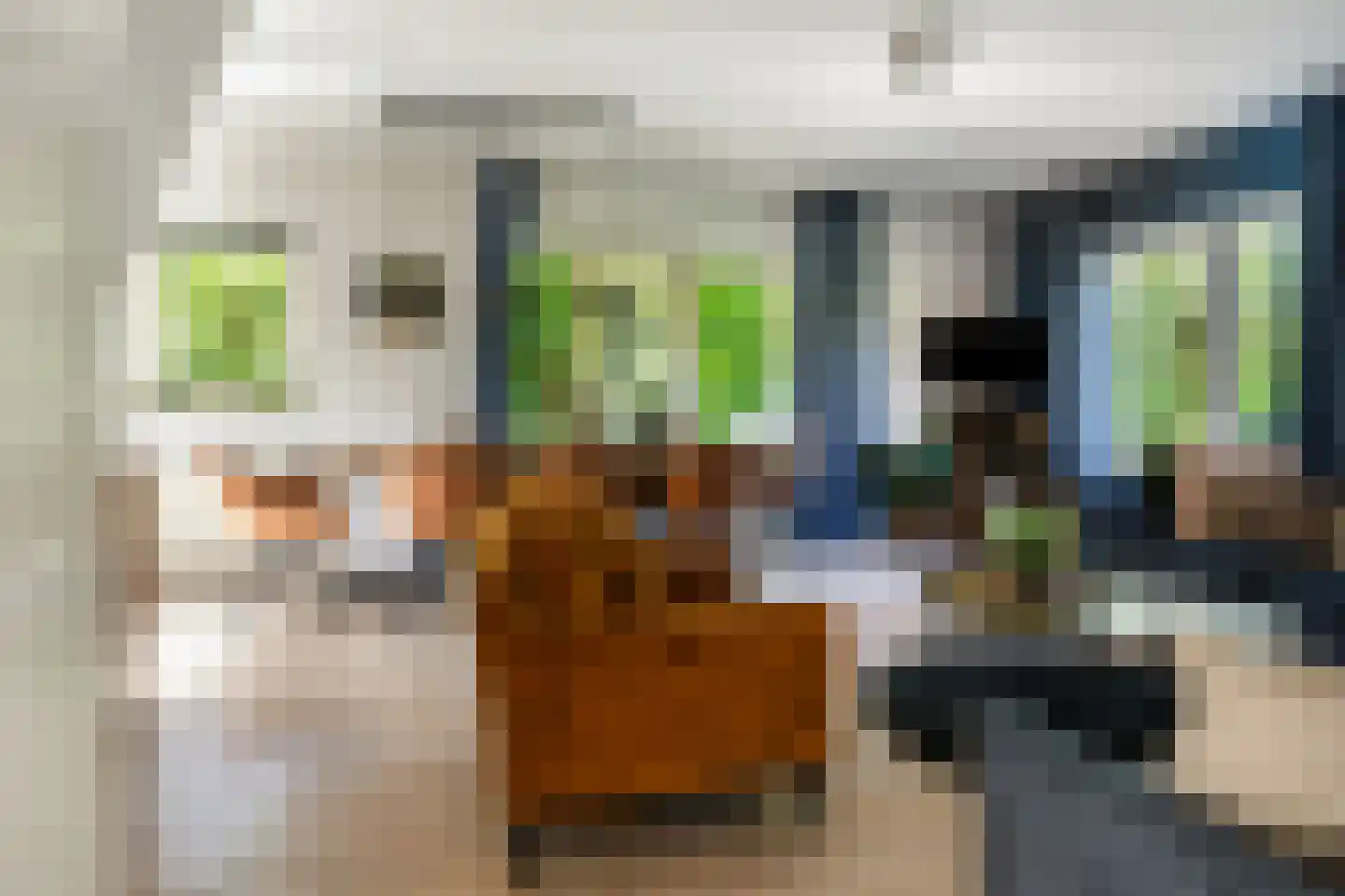 Binnenweg 12 70 Paasloo thumbnail 11