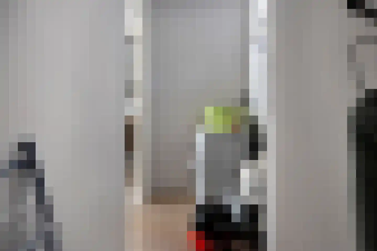 Binnenweg 12 70 Paasloo thumbnail 12