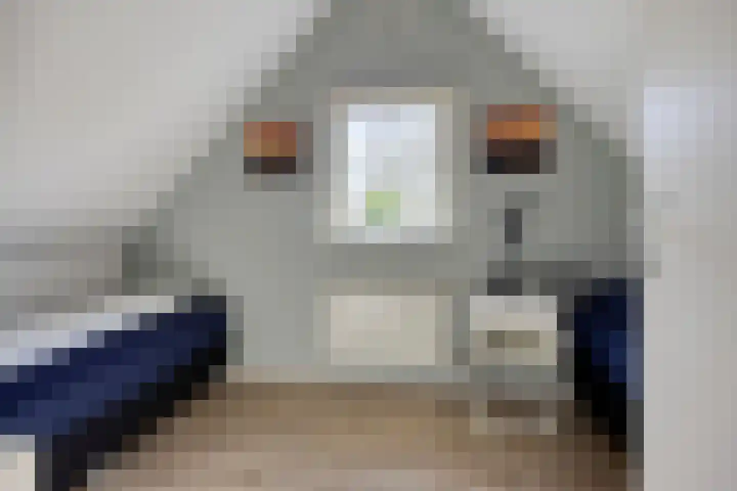 Binnenweg 12 70 Paasloo thumbnail 24