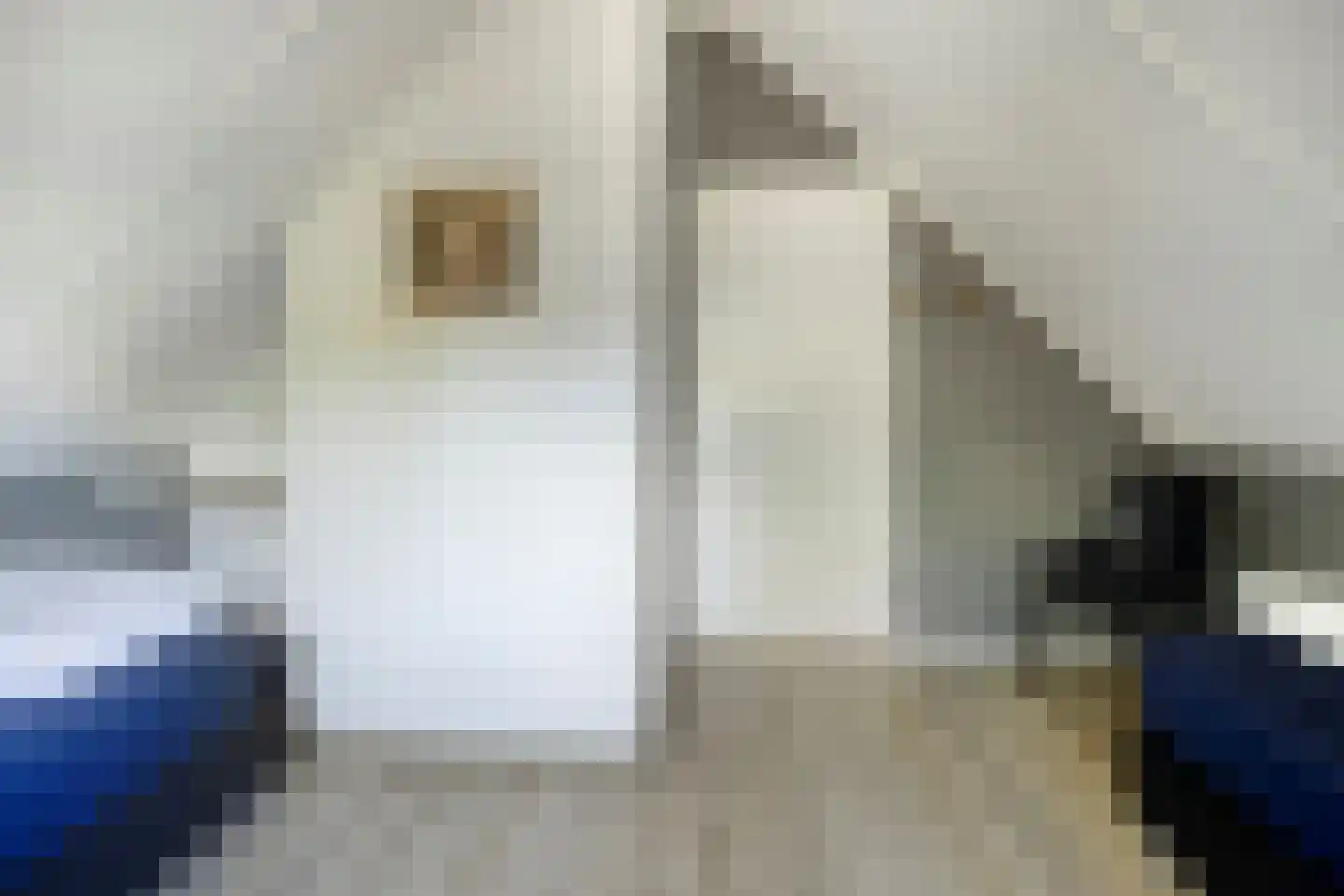 Binnenweg 12 70 Paasloo thumbnail 25