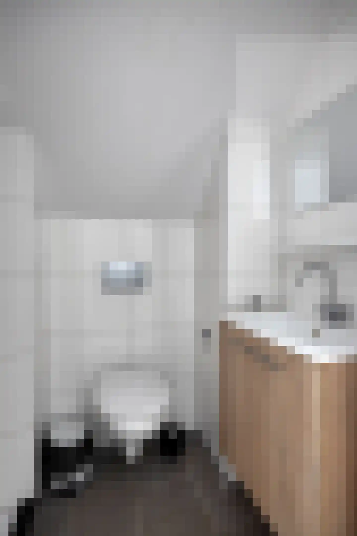 Binnenweg 12 70 Paasloo thumbnail 26