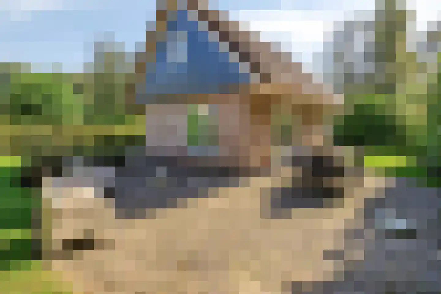 Binnenweg 12 70 Paasloo thumbnail 31