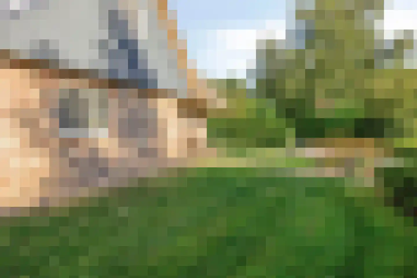 Binnenweg 12 70 Paasloo thumbnail 36
