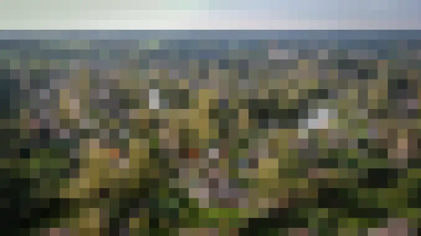 Binnenweg 12 70 Paasloo thumbnail 39