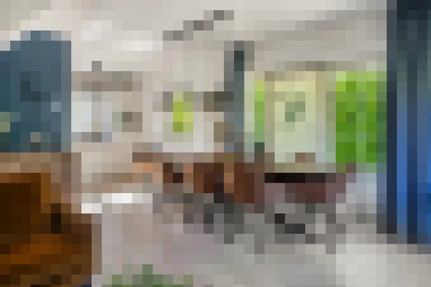 Binnenweg 12 70 Paasloo thumbnail 4