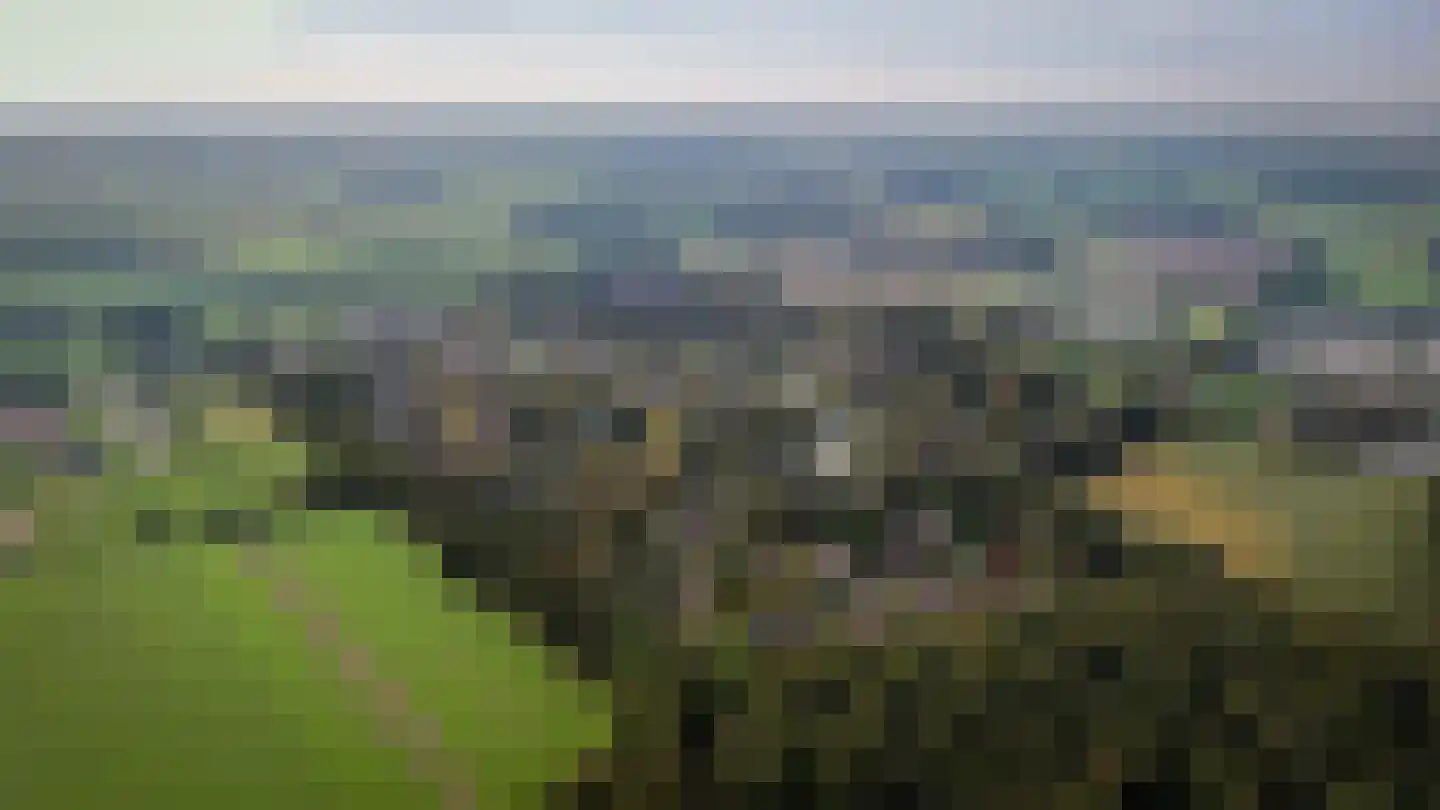Binnenweg 12 70 Paasloo thumbnail 40