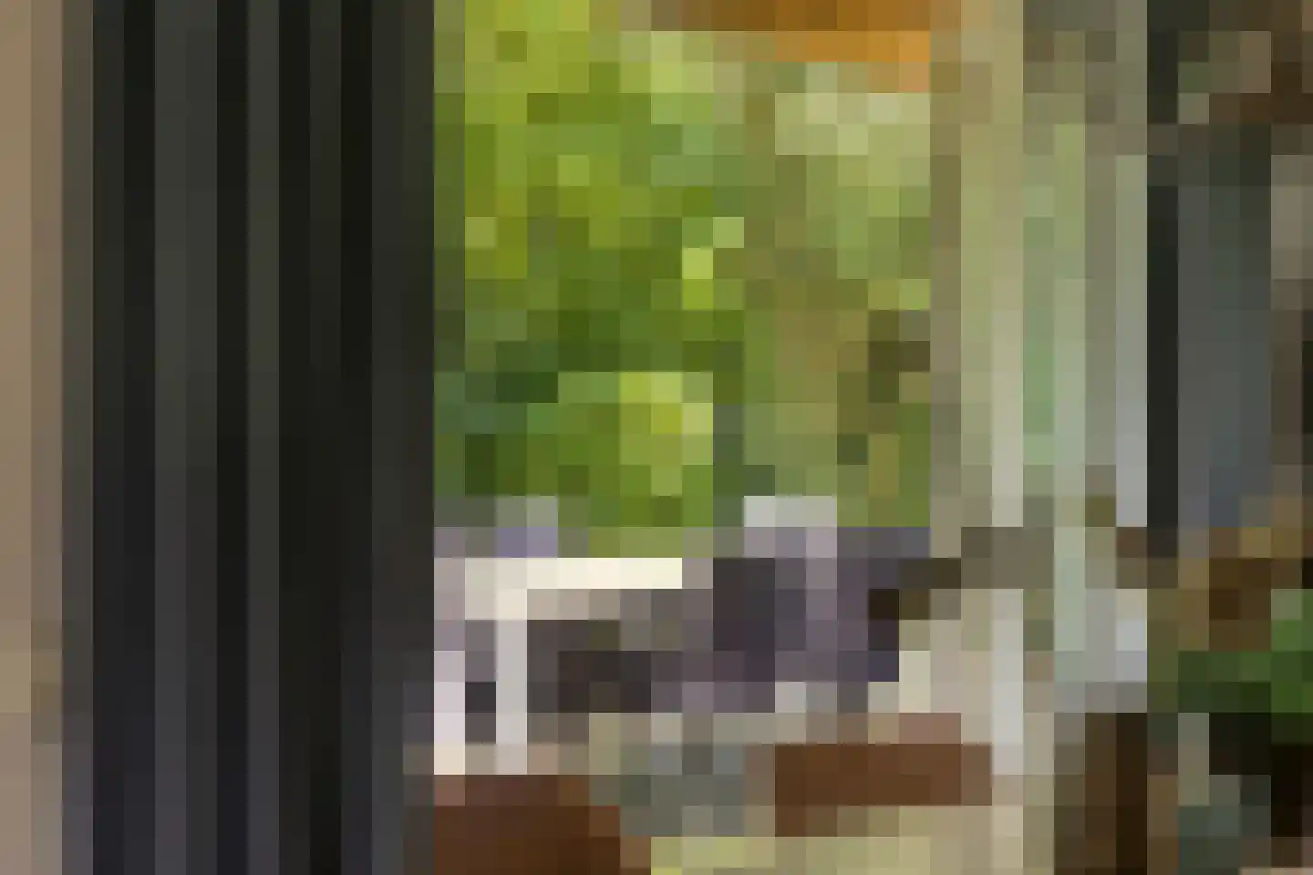 Binnenweg 12 70 Paasloo thumbnail 5