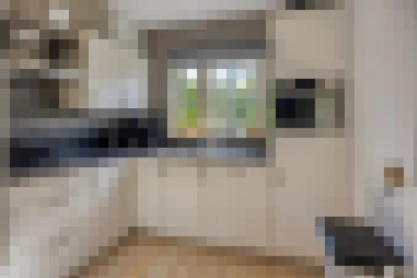 Binnenweg 12 70 Paasloo thumbnail 9