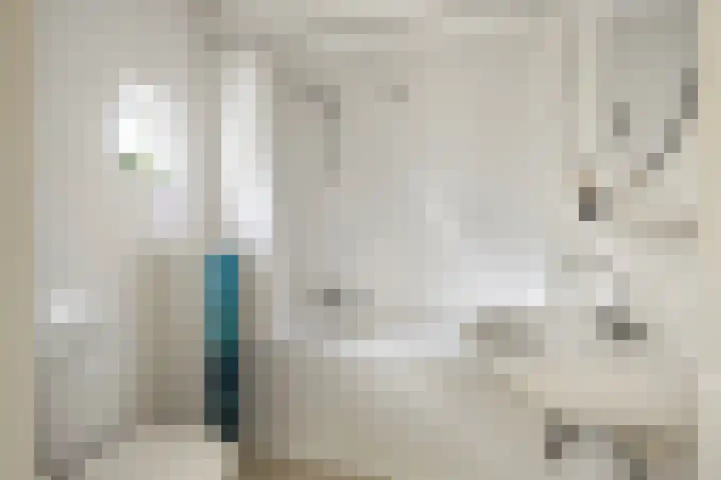 Binnenweg 12 75 Paasloo thumbnail 14