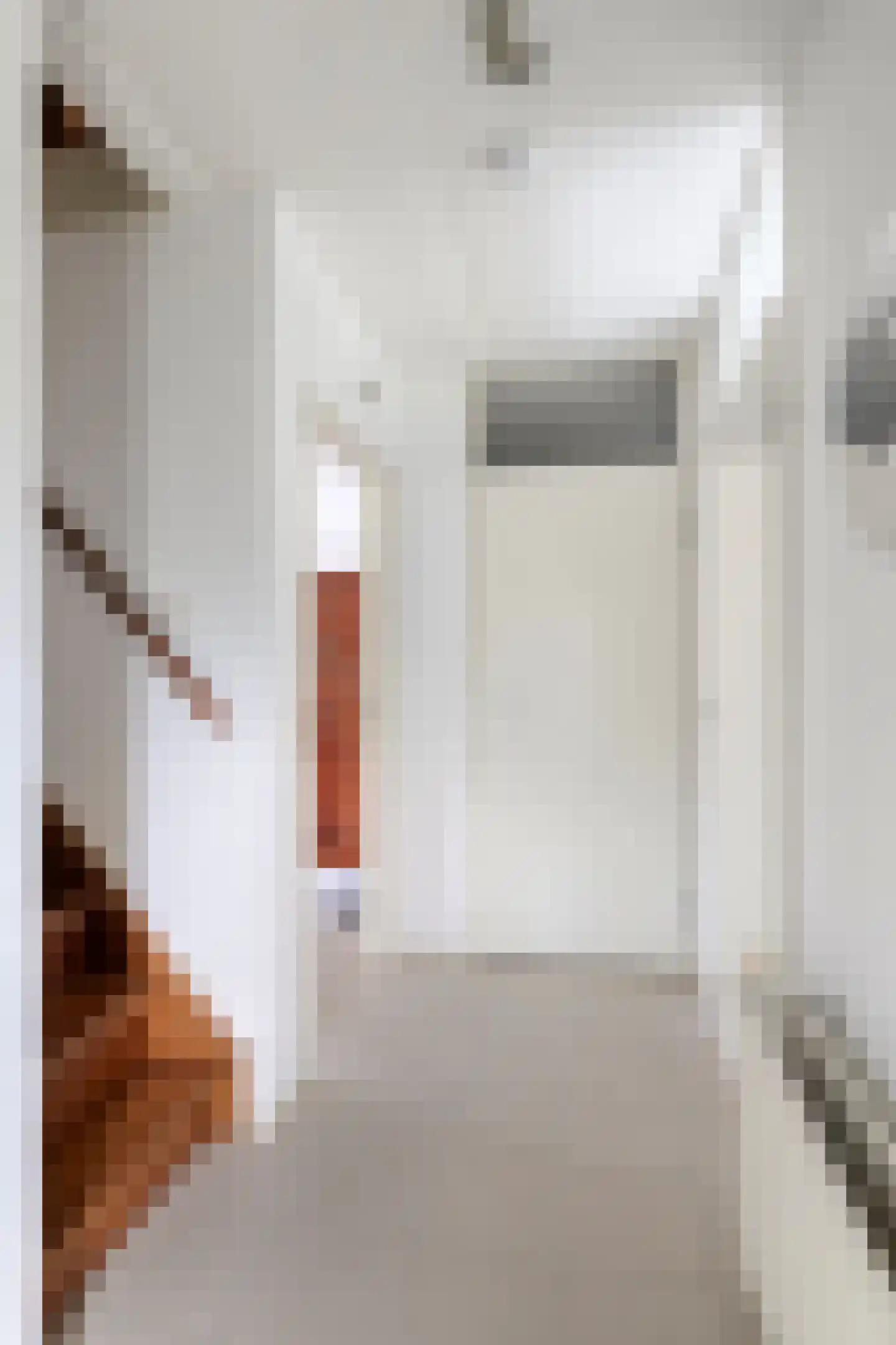 Binnenweg 12 75 Paasloo thumbnail 18