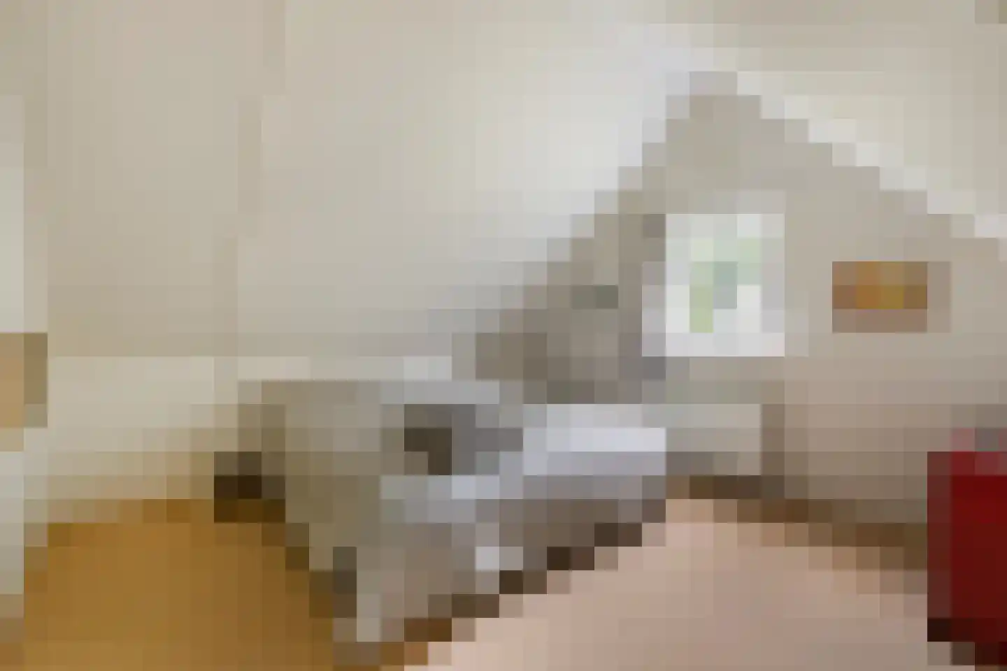 Binnenweg 12 75 Paasloo thumbnail 20