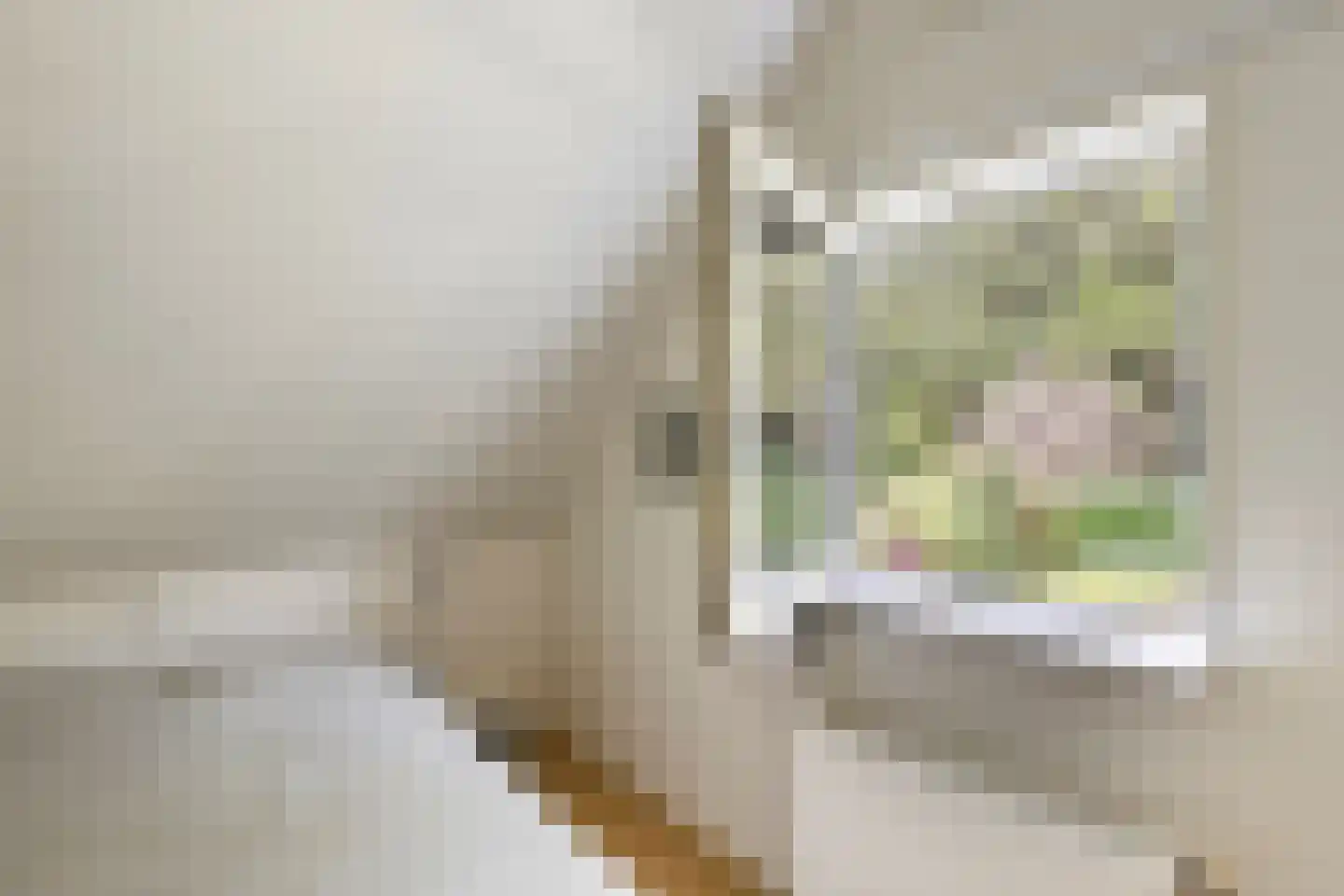 Binnenweg 12 75 Paasloo thumbnail 21