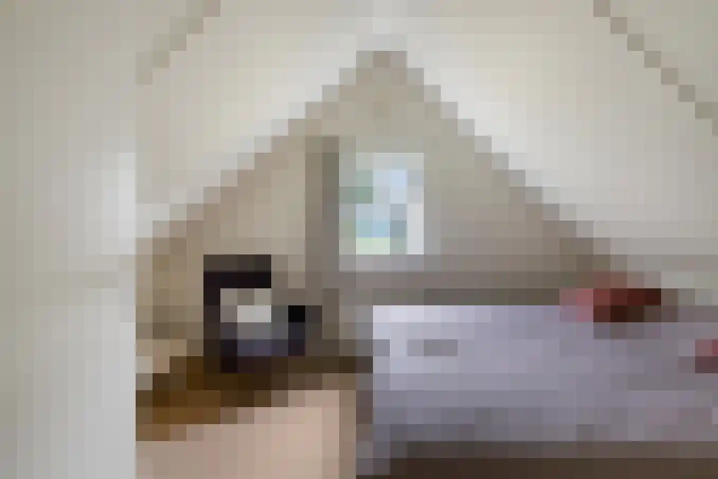 Binnenweg 12 75 Paasloo thumbnail 25