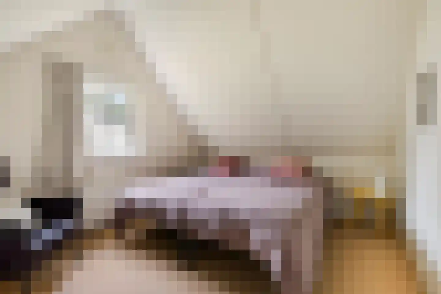 Binnenweg 12 75 Paasloo thumbnail 26