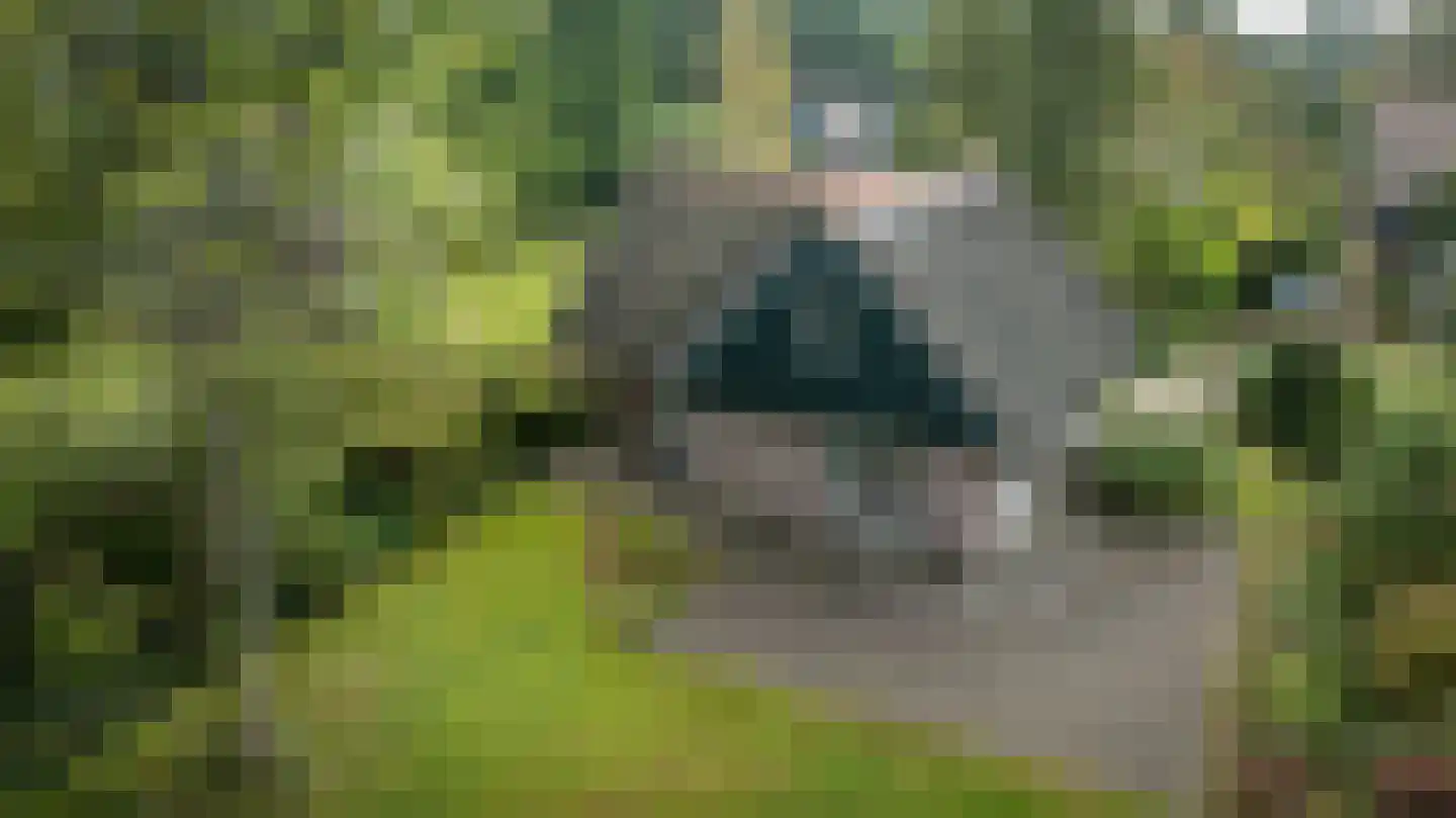 Binnenweg 12 75 Paasloo thumbnail 31