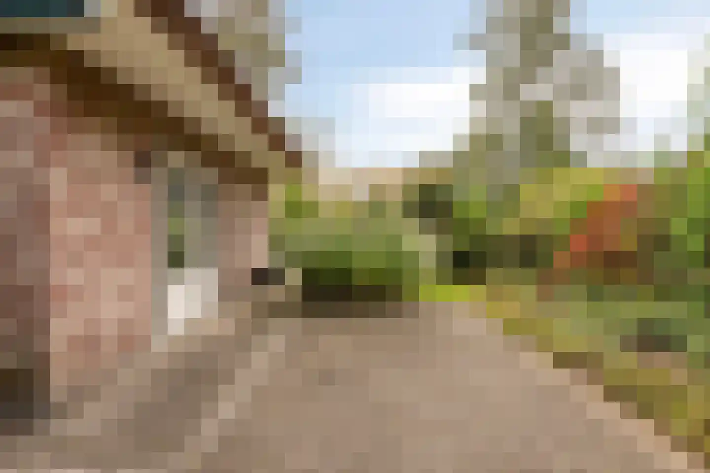 Binnenweg 12 75 Paasloo thumbnail 32