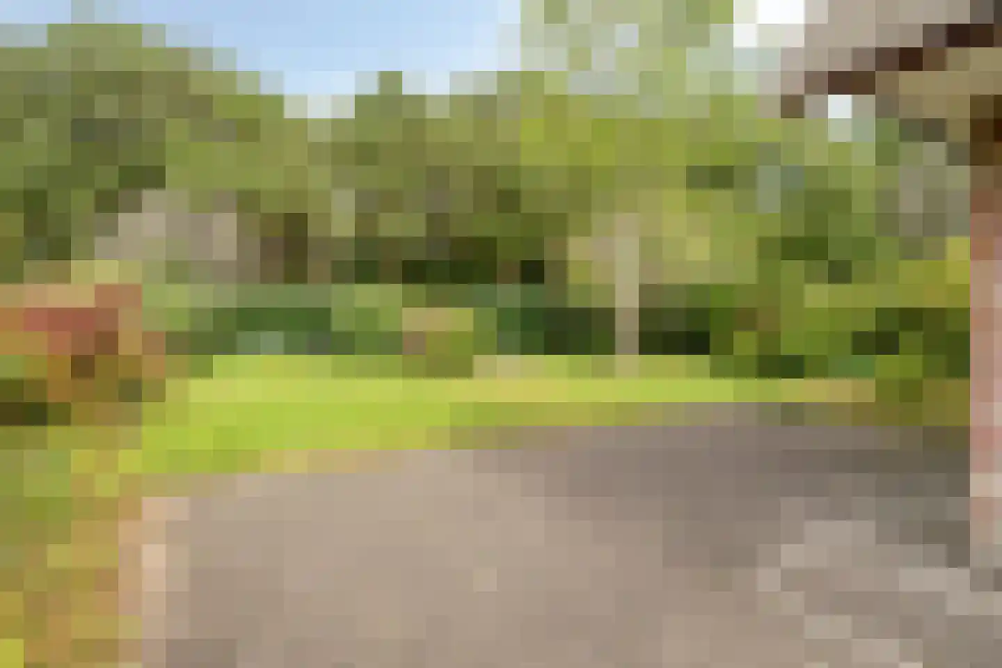 Binnenweg 12 75 Paasloo thumbnail 33