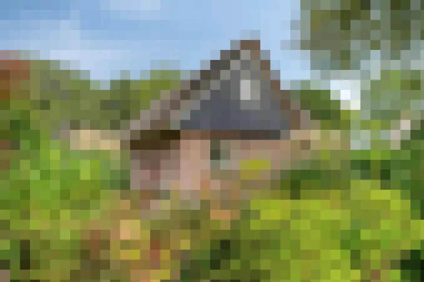 Binnenweg 12 75 Paasloo thumbnail 38
