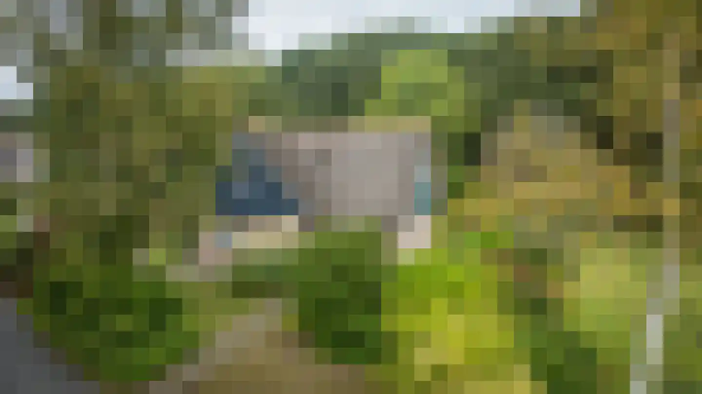 Binnenweg 12 75 Paasloo thumbnail 42