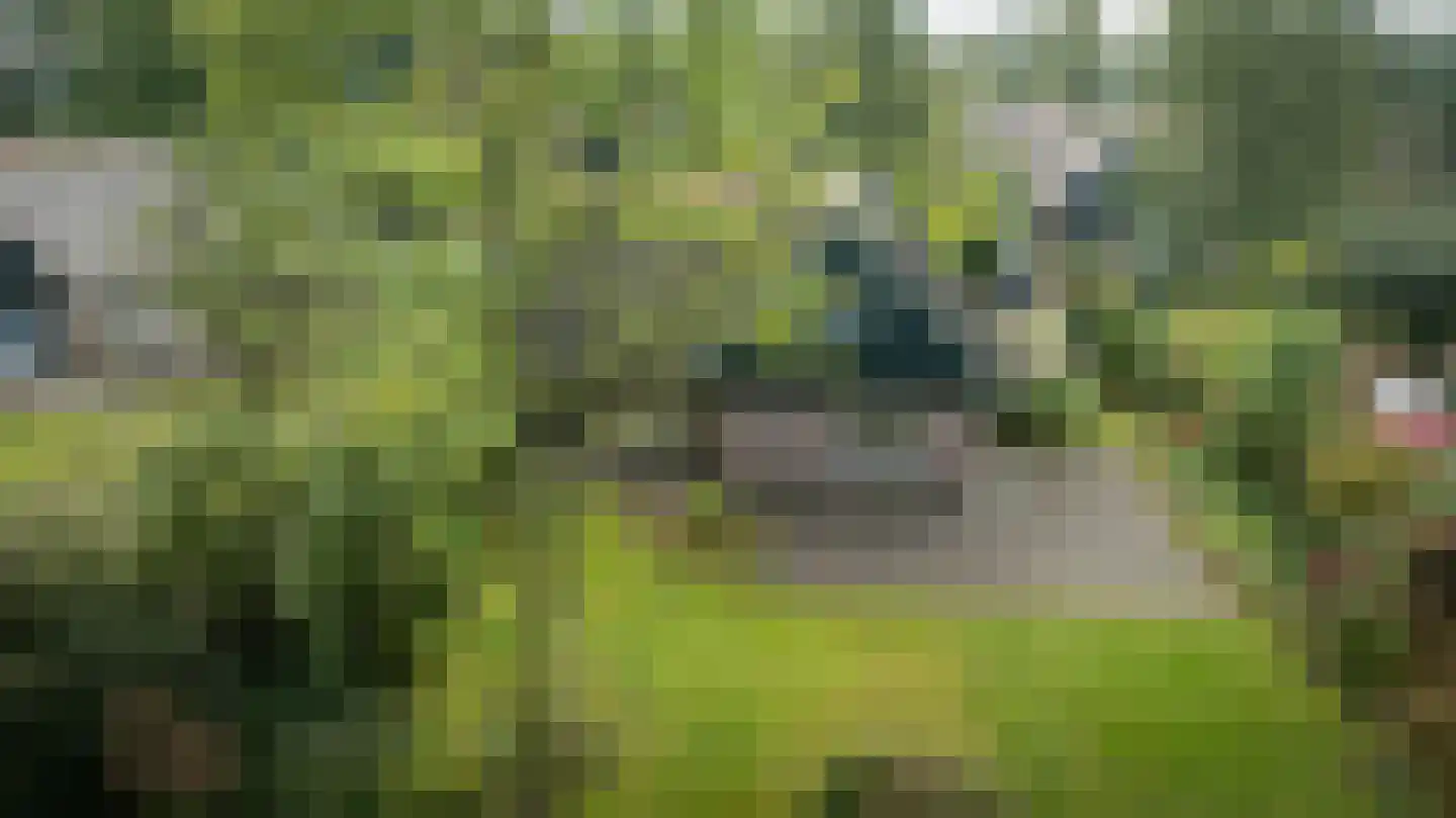 Binnenweg 12 75 Paasloo thumbnail 45