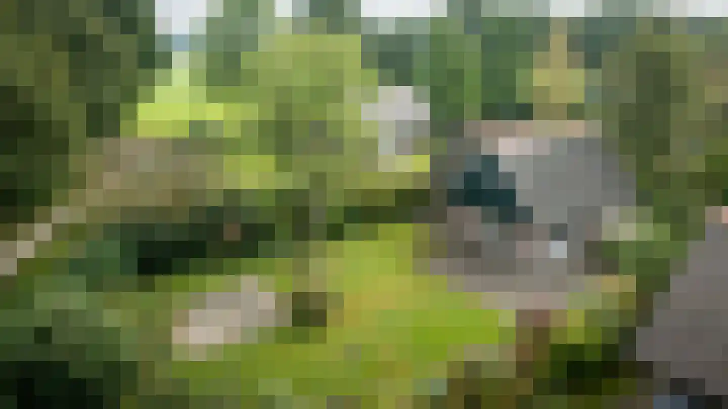 Binnenweg 12 75 Paasloo thumbnail 46