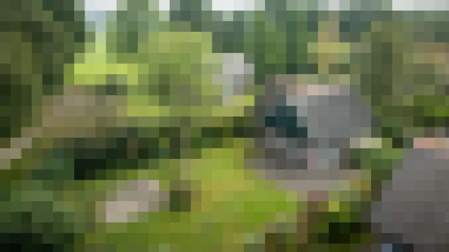 Binnenweg 12 75 Paasloo thumbnail 47