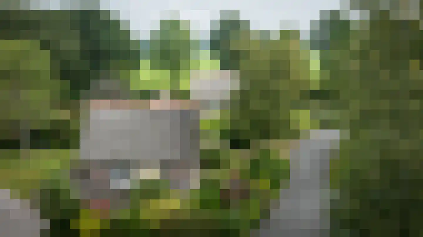 Binnenweg 12 75 Paasloo thumbnail 48