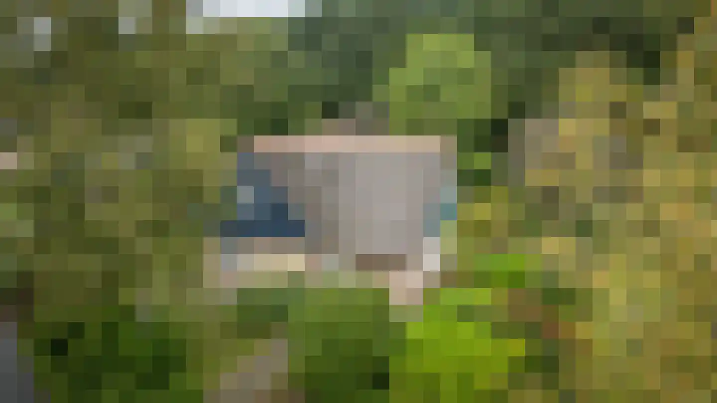 Binnenweg 12 75 Paasloo thumbnail 49