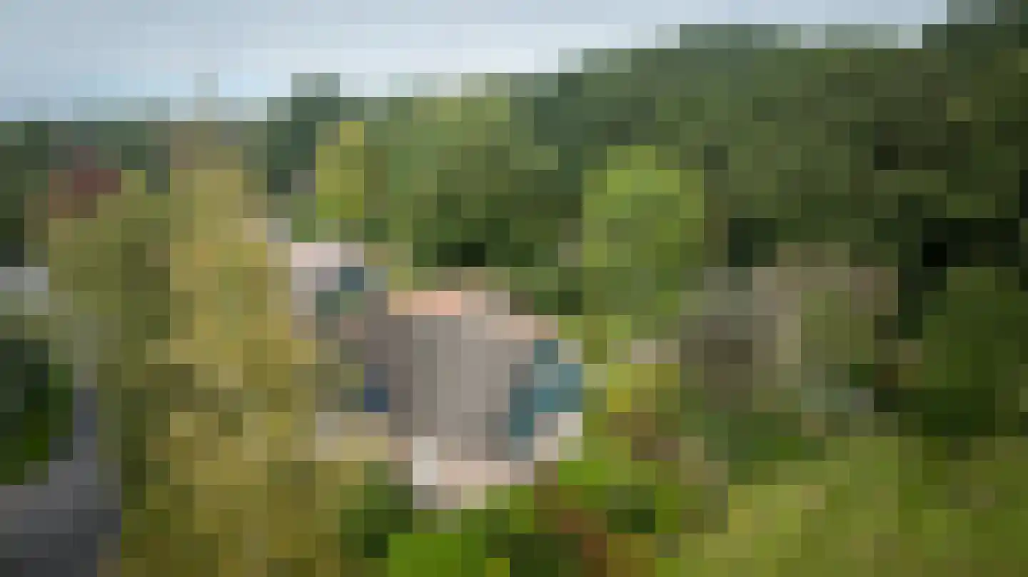 Binnenweg 12 75 Paasloo thumbnail 50