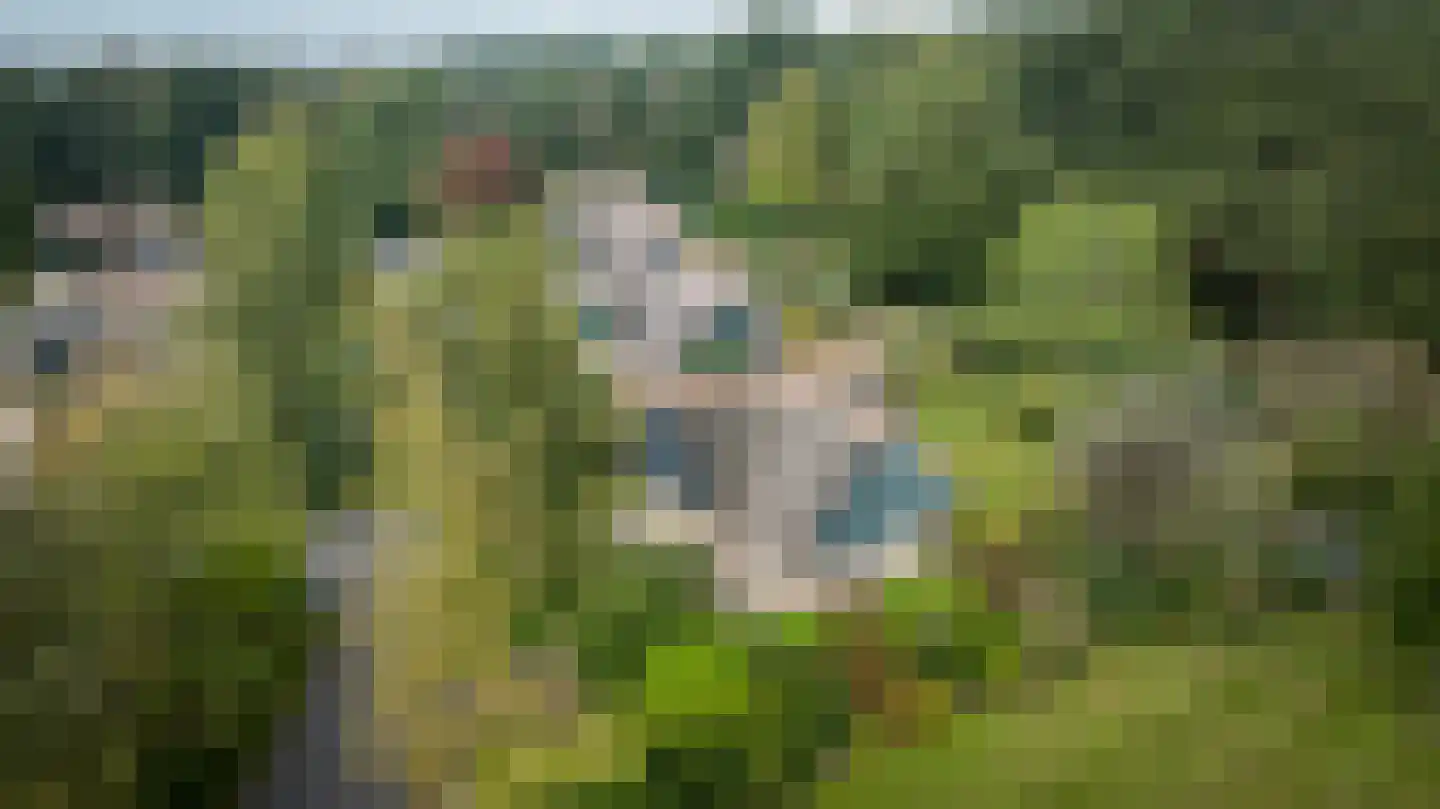 Binnenweg 12 75 Paasloo thumbnail 51
