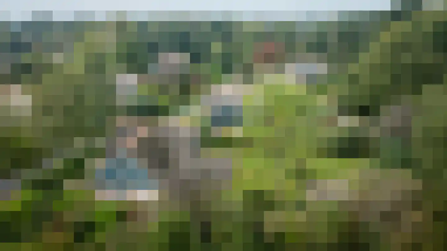 Binnenweg 12 75 Paasloo thumbnail 52