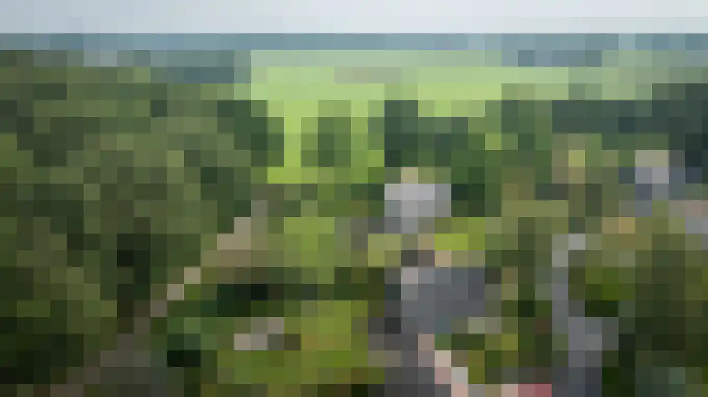 Binnenweg 12 75 Paasloo thumbnail 54