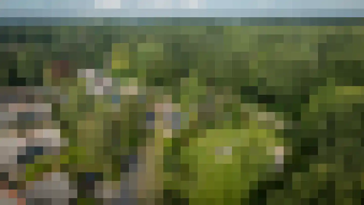 Binnenweg 12 75 Paasloo thumbnail 55