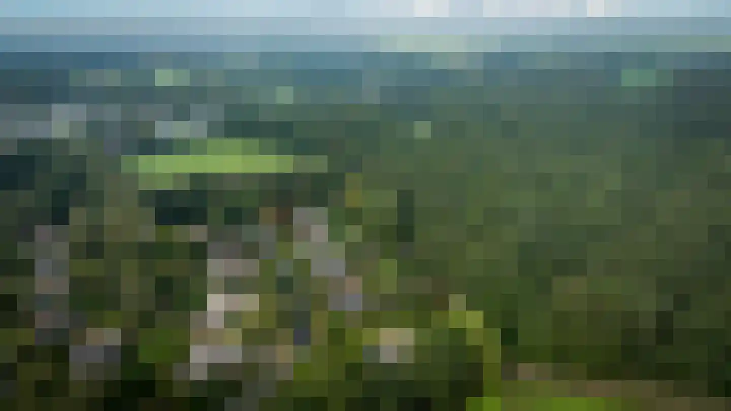 Binnenweg 12 75 Paasloo thumbnail 56
