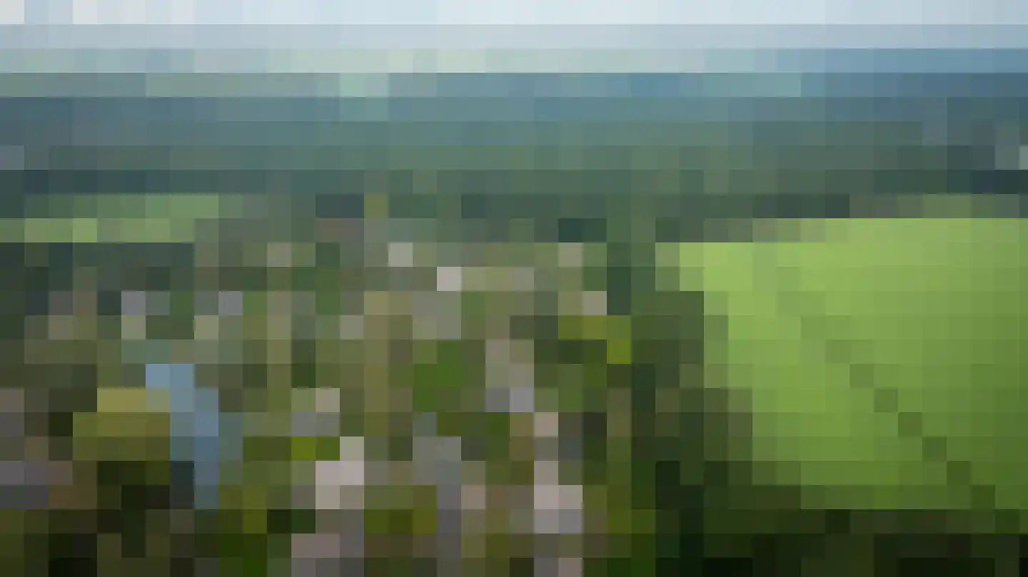 Binnenweg 12 75 Paasloo thumbnail 57