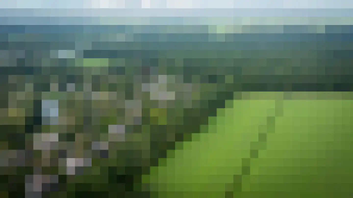 Binnenweg 12 75 Paasloo thumbnail 58