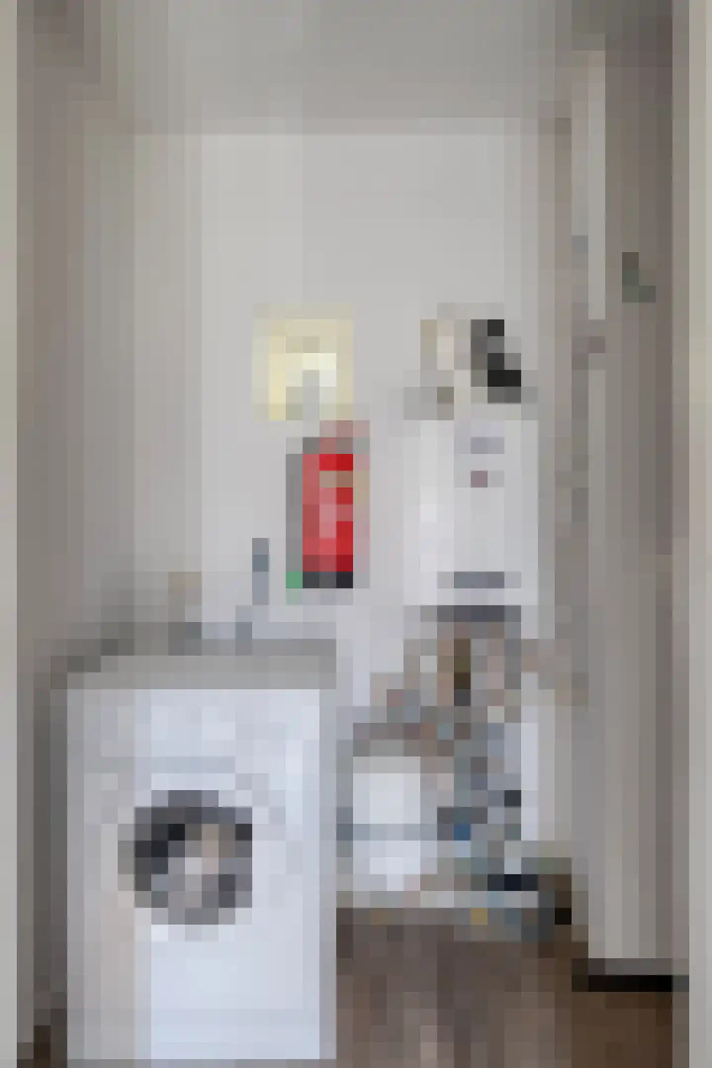 Binnenweg 12 79 Paasloo thumbnail 10