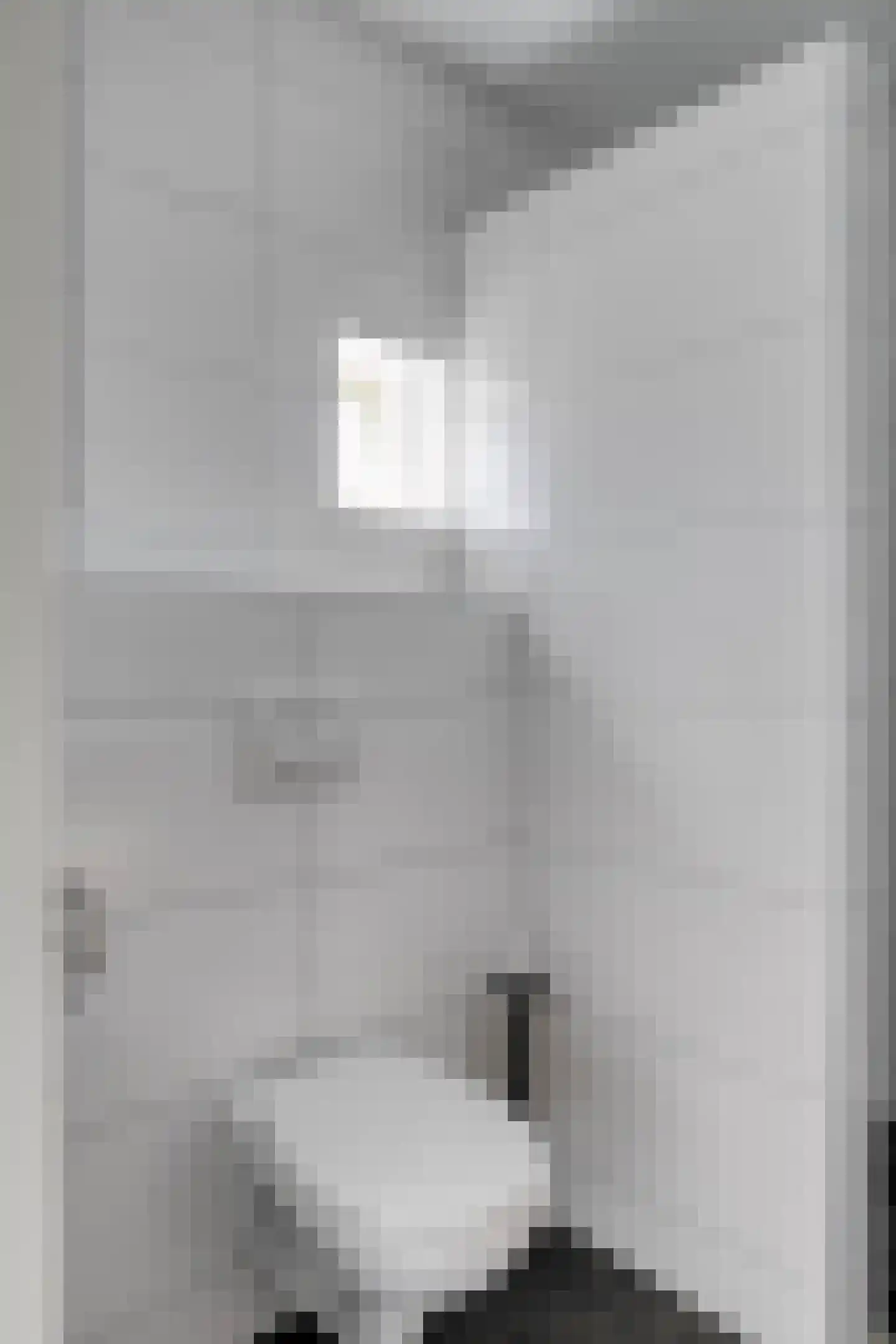 Binnenweg 12 79 Paasloo thumbnail 16