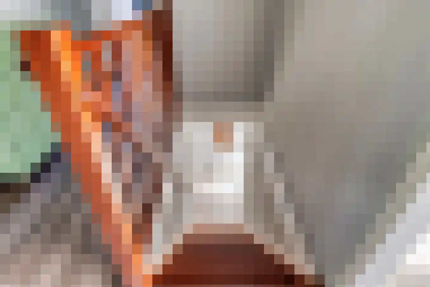 Binnenweg 12 79 Paasloo thumbnail 19