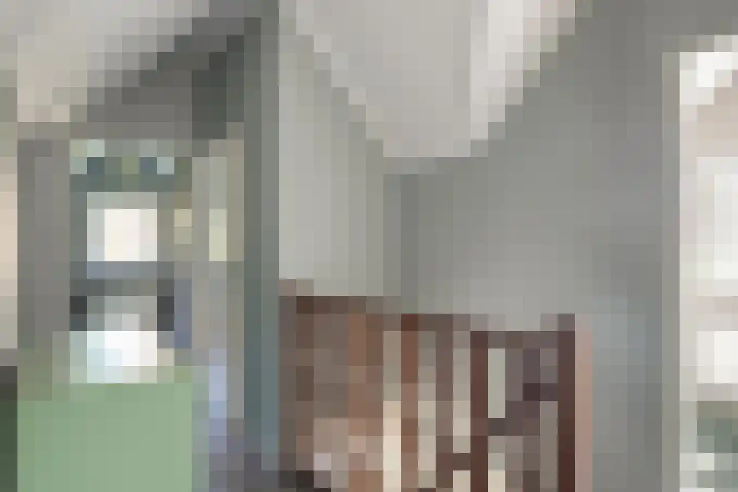 Binnenweg 12 79 Paasloo thumbnail 23