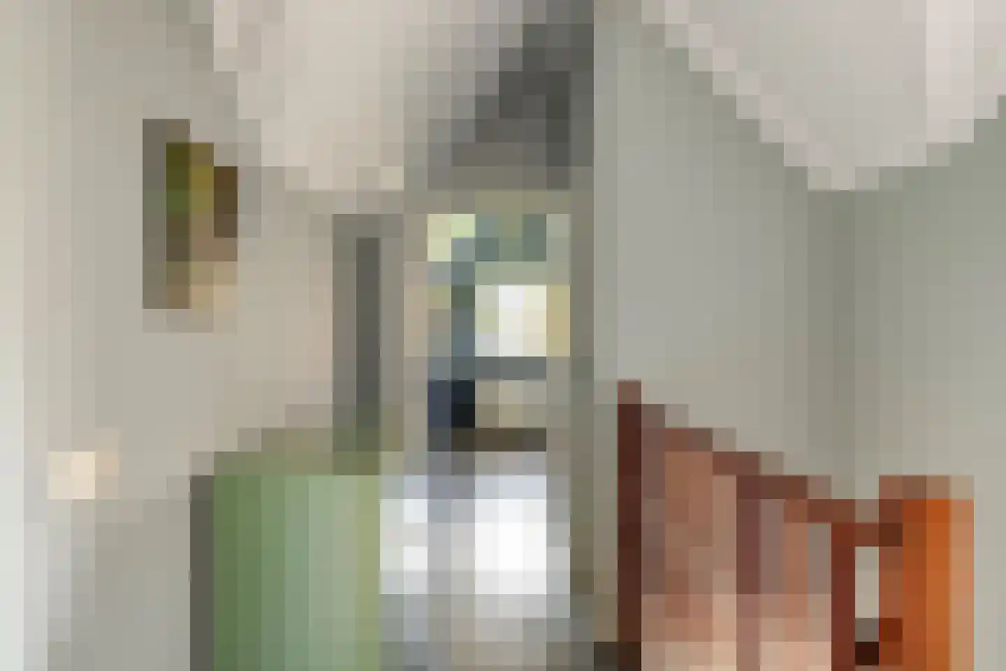Binnenweg 12 79 Paasloo thumbnail 26
