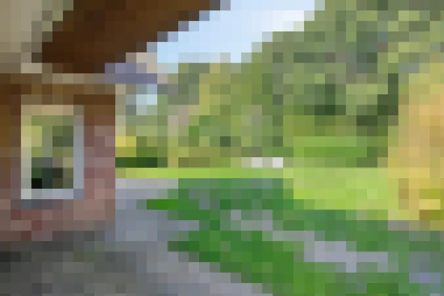 Binnenweg 12 79 Paasloo thumbnail 31